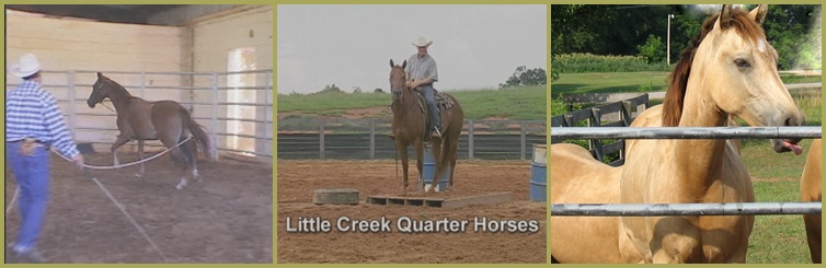 Ranch Pics -- Round Pen, Wayne Oneal, LCE Elbert Thomas